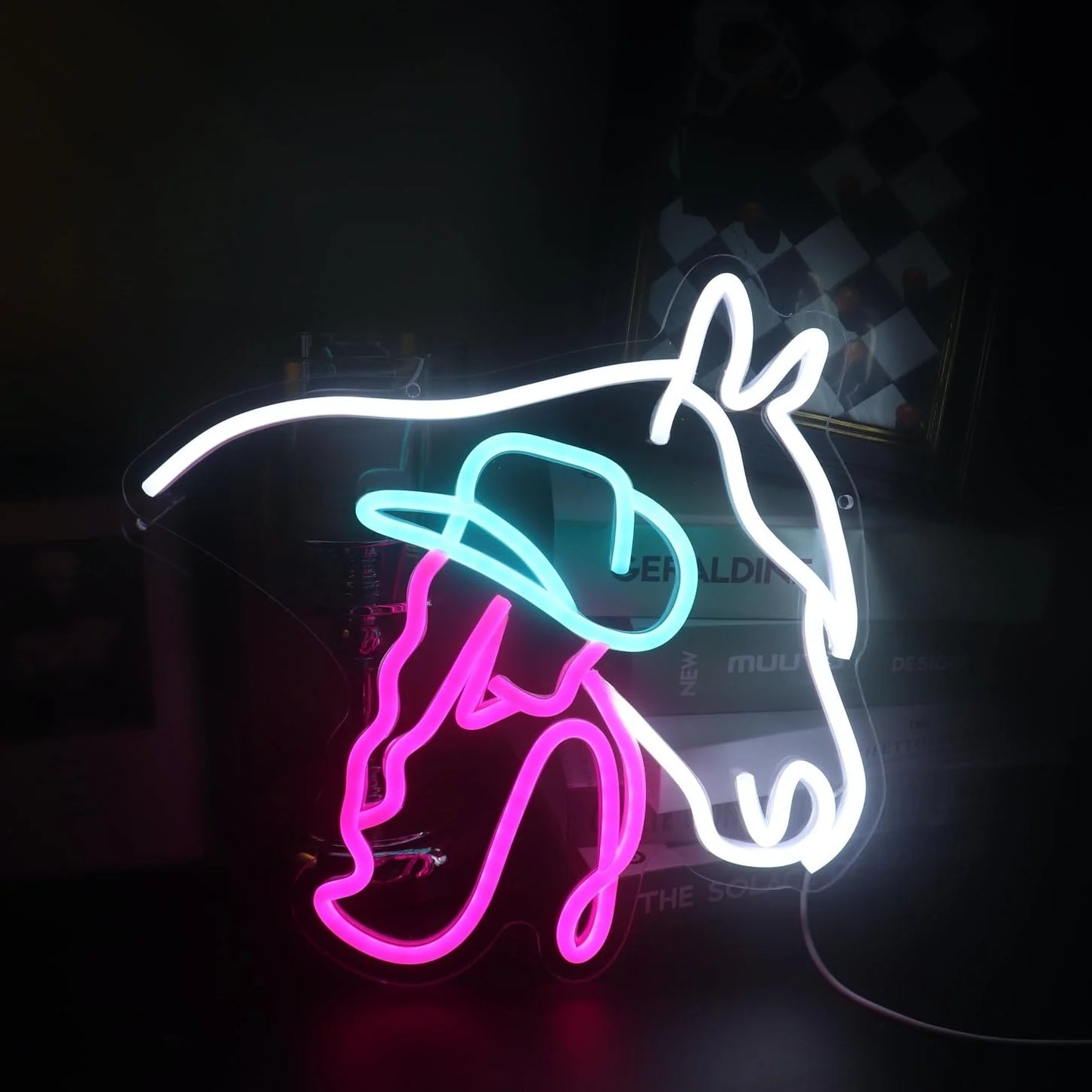 Panneaux néon LED muraux 12 V Décoration lumineuse personnalisée Convient pour les anniversaires, les mariages, les danses et les décorations de fête