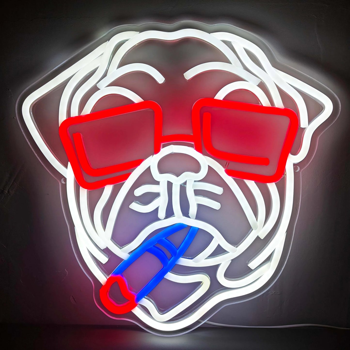 Livraison rapide 12V LED Neon Signs décorations personnalisation gratuite adaptée aux anniversaires mariages mariages et scènes de fête