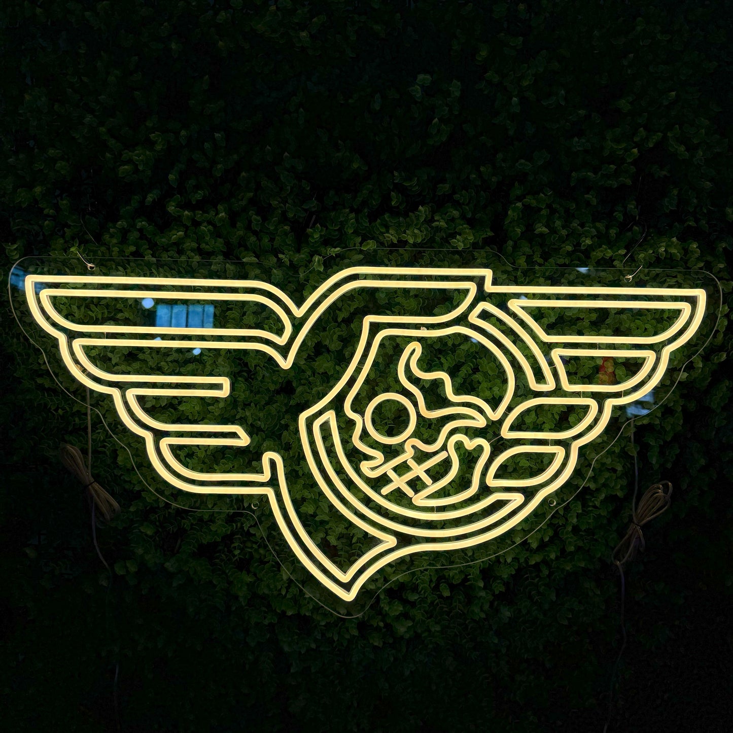 LED Neon Signs Neon decoration for commercial or holiday signs