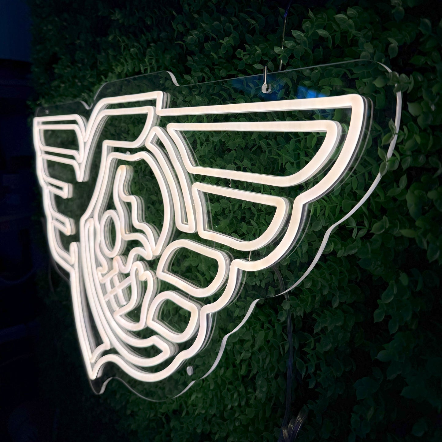 LED Neon Signs Neon decoration for commercial or holiday signs