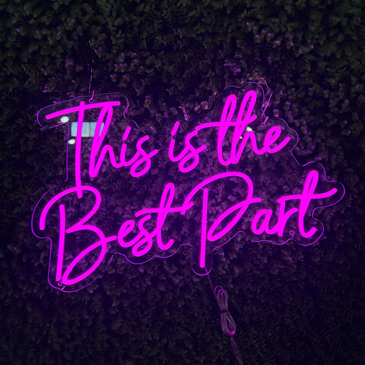 “This is the Best Party" Indoor Pink Signs