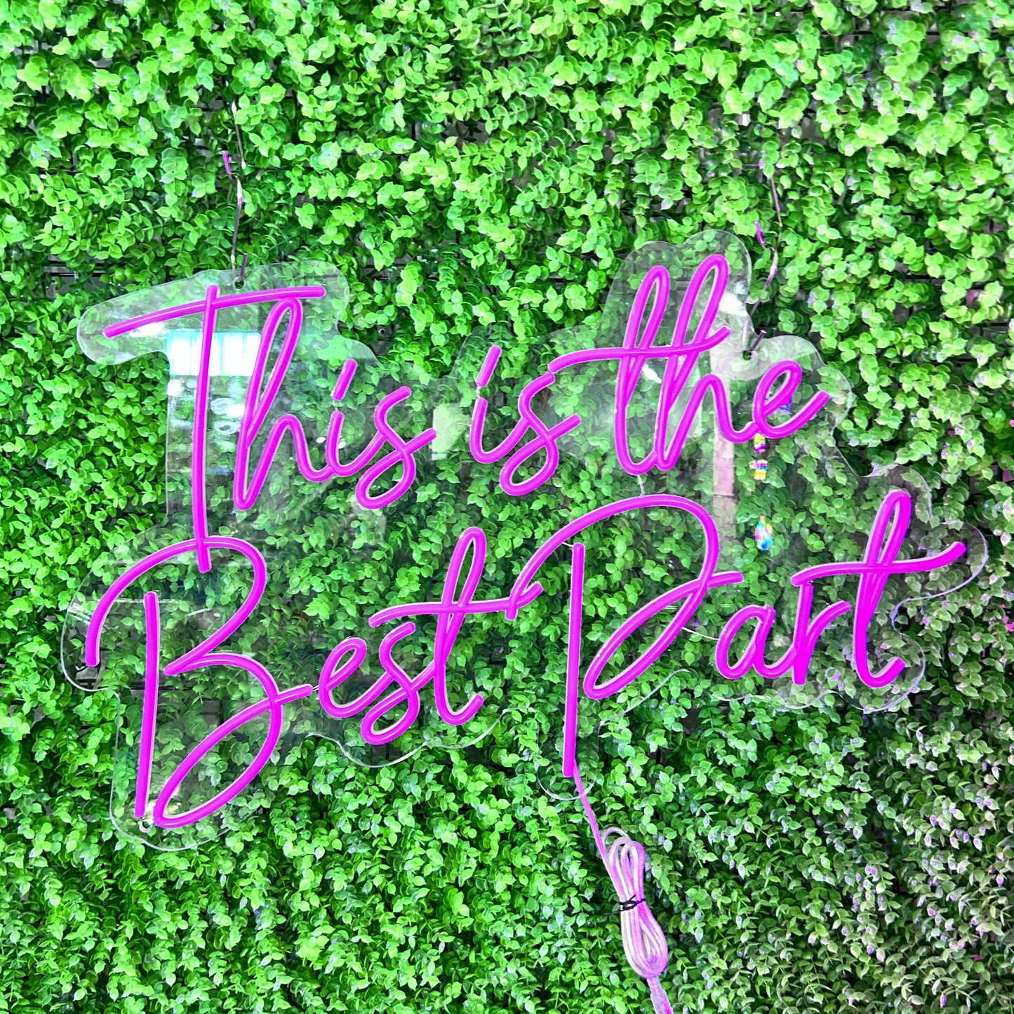 “This is the Best Party" Indoor Pink Signs