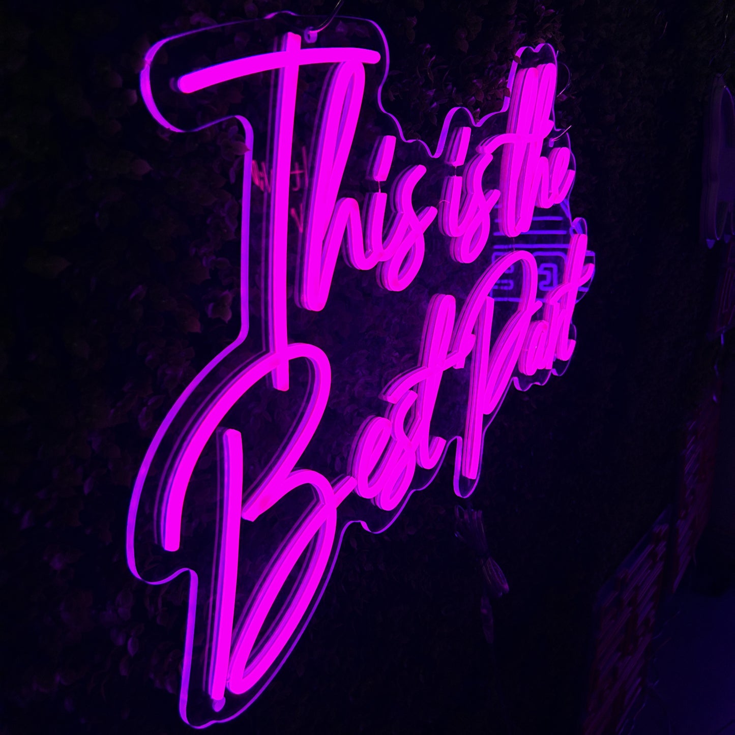 “This is the Best Party" Indoor Pink Signs